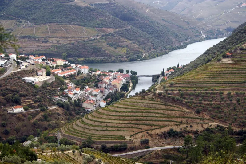 Terraced vineyards above the Douro river in the Douro Valley