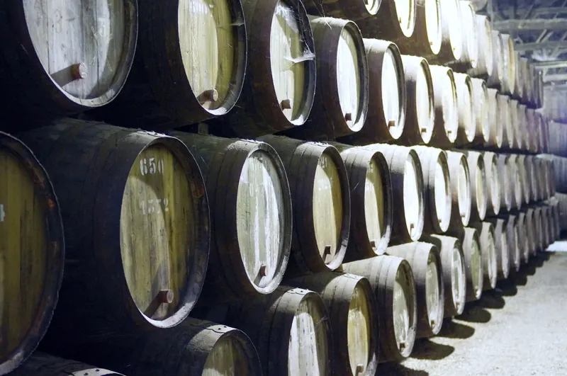 Port wine barrels stacked in a Gaia cellar